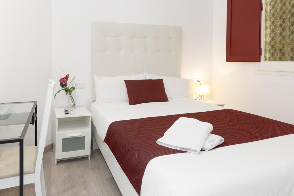 Habitación Individual Económica