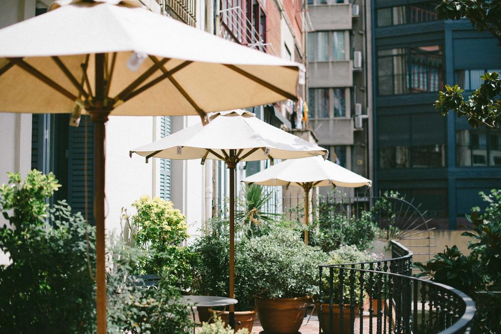 Double Room Terrace