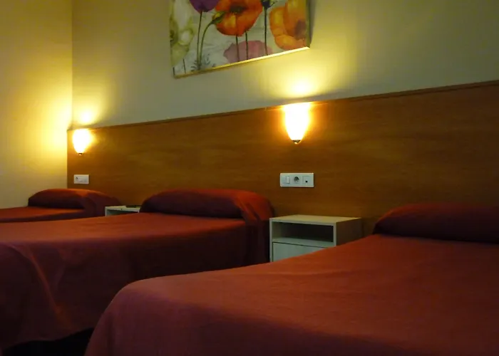 Casa de huéspedes: Hostal Drassanes