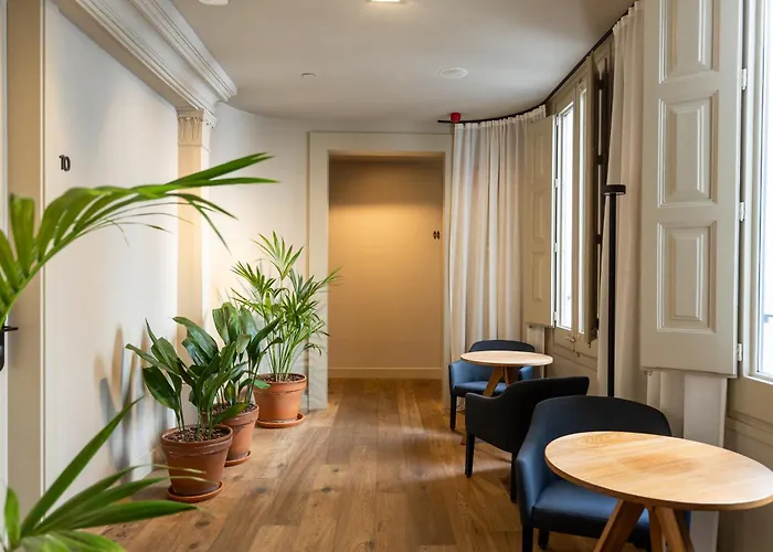 Colectia Stays Pau Claris